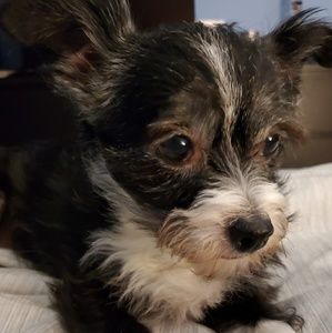 Meet your Posher, Ellen